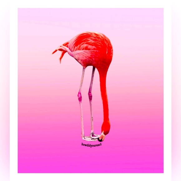 “Pink Majesty” Flamingo |Original Photography/Digital Design 11X14 Poster board - Picture 5 of 5